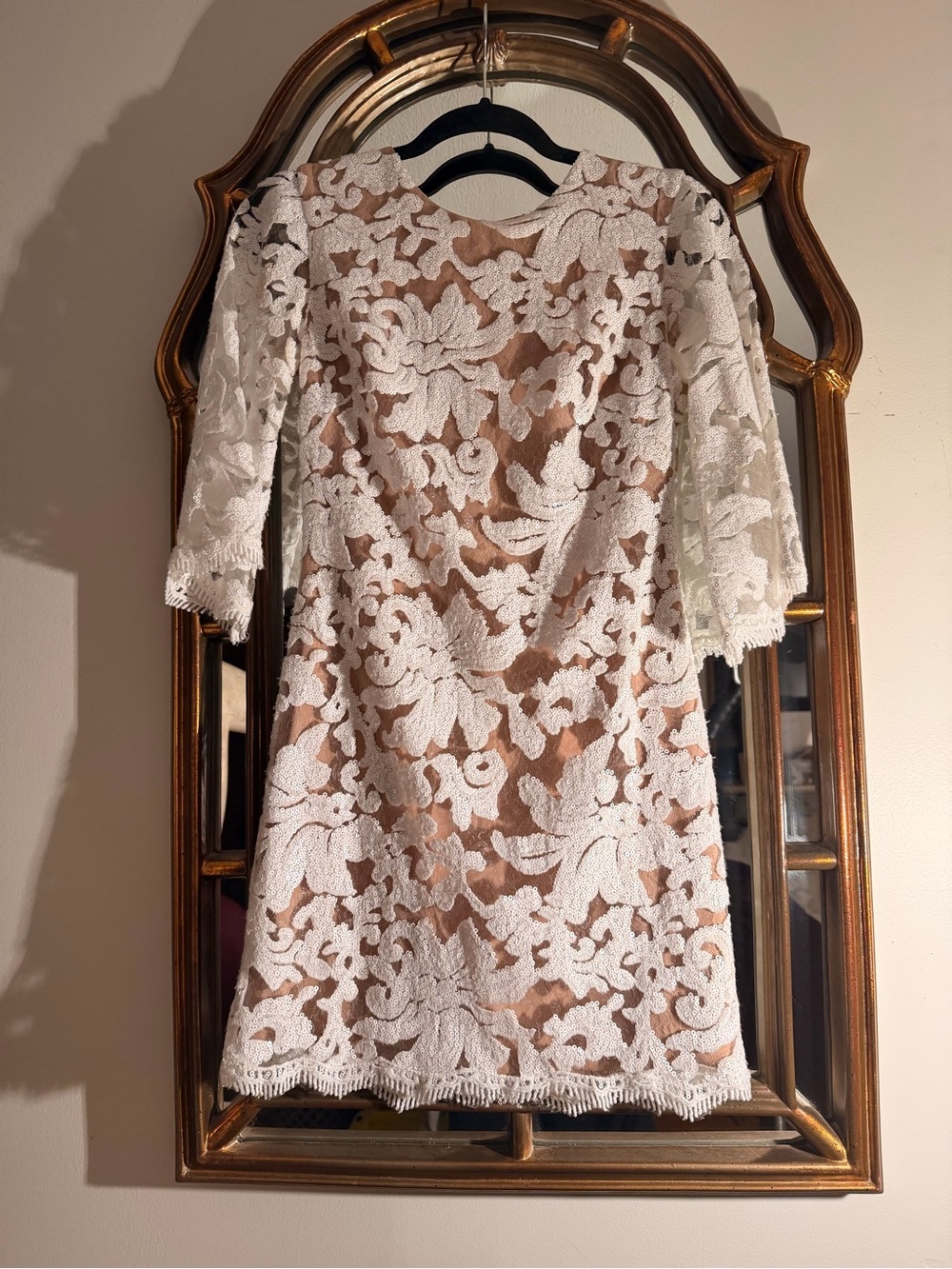Dress the Population White Lace Floral Mini Dress with Nude Lining